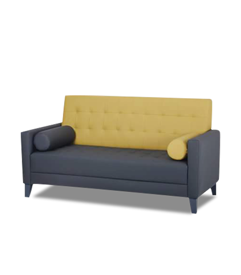 Modern design sofa 